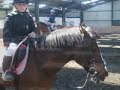 holmside hall show