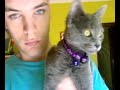 GATITA-RUSO-AZUL