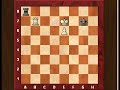 Rook ending (3): The short side and the long side