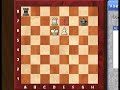 Rook ending (3): The short side and the long side