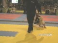 Adriana Ferreira x Líbia Gonçalves by X-COMBAT