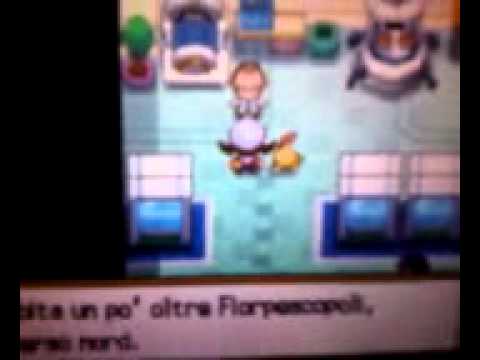 chicorita