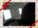 dsfg