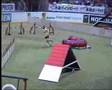 WM 2007 Agility Einzel Flo & Lass