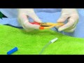 Click para Ver : 5 - Cuidados del sondaje vesical