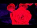 Kelly Grinz - Lose It All (Prod. Kelly Grinz) [Track]