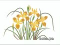 Native Plant Awareness Week - Bonnie Hall Art