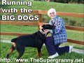 running with the big dogs the supergranny mary bosveld online marketing