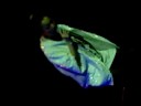 [2008show mi] ?????sydney