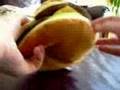 (uploaded by zedkg)&nbsp;DealExtreme.com Hamburger 12 CD Flannel Storage Ba