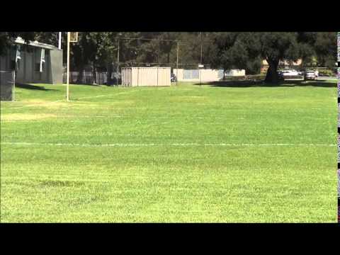 how to provide a character reference