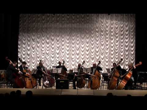 contrabass -
