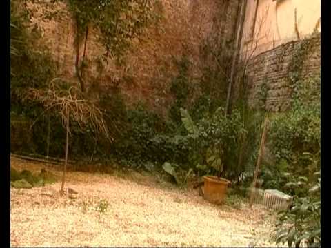 scorci - L'area del Velabro, nella Roma dell'età arcaica, in virtù della prossimità dell'Isola Tiberina e di un punto di approdo nel Tevere, divenne un fiorente centr...
