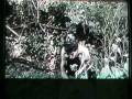 videos de The Battle Of The Anicient Pass