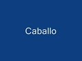 Caballo Exitado