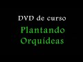 Em Breve, para ser mais preciso, em Outubro de 2009, estaremos lançando um DVD de curso, onde explicará passo a passo como plantar uma, uma não, vários tipos de Orquídeas!Aproveite e reserve o seu.Para reservar mande um e-mail para contato.chacaraprincipe@hotmail.com, contendo seu nome e seu telefone para contato.
