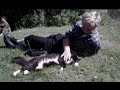 airsoft-mod.html