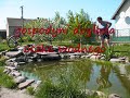 oczko wodne water garden 3 oczko wodne water garden 3