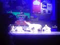 show drifterz