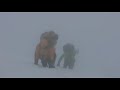 Shared Summits K2 Climbing Expedition Dispatch 25