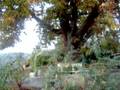 videos de heimat-setting-luoghi-girato-location-posti-posto-edgar reitz-reno-Hunsuck