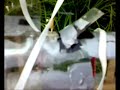 8 liter waterraket 161 meter Team.[D&P]Rockets*