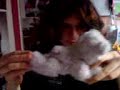 Ryto Ryto