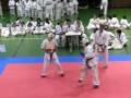 videos de kyokushin rodas navidad 2008: final kumite joseba vs imanol
