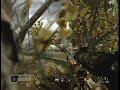 COD4 Overgrown Feild Shed Roof
