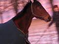 Horsemanship Horsemanship