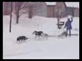 Sledding with Audio