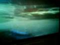 videos de Niko from GTA 4 shooting people
