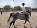 Carmen dressage lesson 6