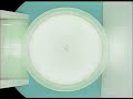 Experiment 0: Non-Rotating Fluids