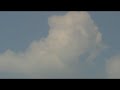 landschap 2