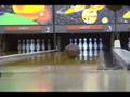 Hammer : Hawg Wild bowling ball