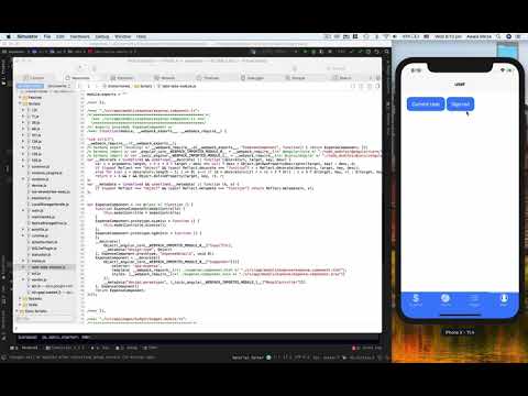 IONIC 4 Debugging in Emulator using Safari