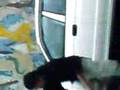 litio bailando