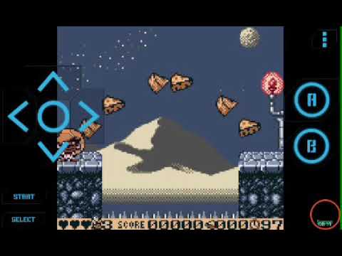 動画