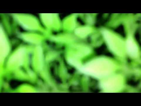 how to use iphone 5 s'camera