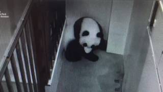 Smithsonian National Zoo