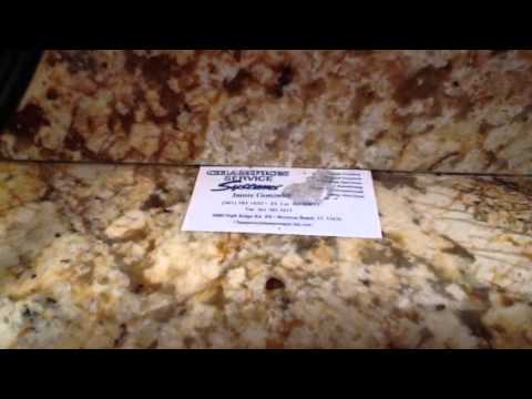 how to treat ghost ants