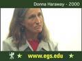 Donna-Haraway-Europe