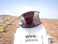 Visite de ruche d\ Visite de ruche d\