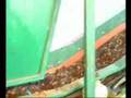 Waste Recycling System