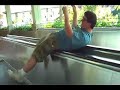Moving Walkway Spinning Moving Walkway Spinning