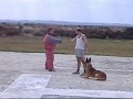 Ataque Maxo