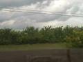 Drought Inducement