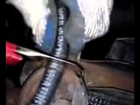 How to replace a coolant hose to an EGR Valve on a 1985 Mercury Grand Marquis