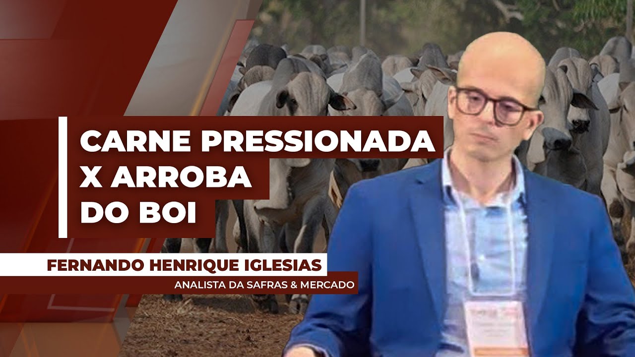 Boi: carne no atacado em queda motiva redução dos abates nos frigoríficos de mercado interno